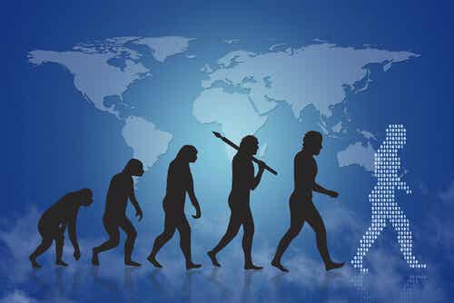 Evolución humana desde el mono muestra de la teoría de Darwin