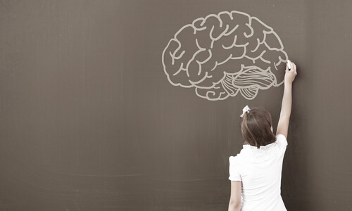 Niña dibujando un cerebro en una pizarra