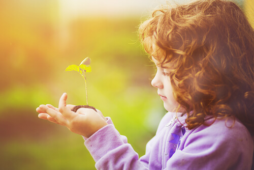 Niña observando el crecimiento de una planta