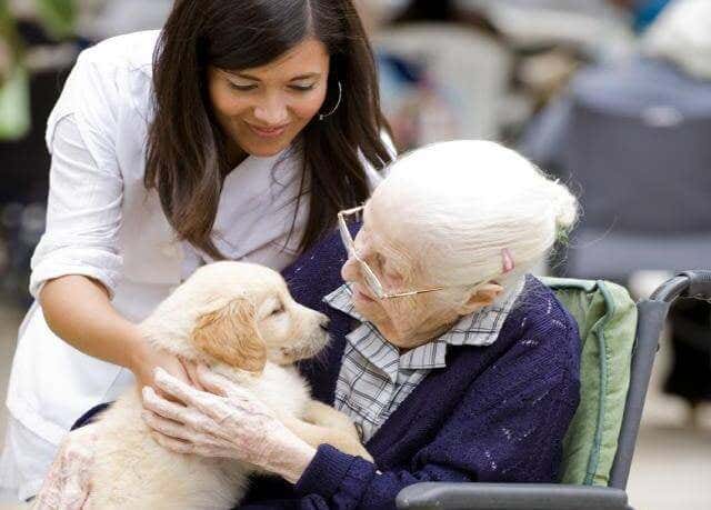 anciana-con-un-perro y sus cuidadores