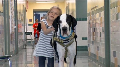 "Apóyate en mí" la maravillosa historia de Bella y George