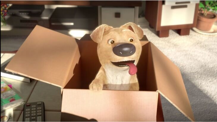 corto-the-present, perro en un caja