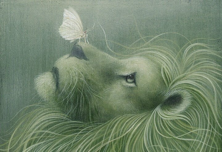 León bueno con una mariposa
