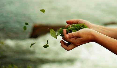 manos soltando hojas verdes pasado