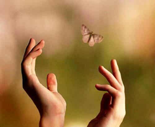 manos intentando alcanzar una mariposa