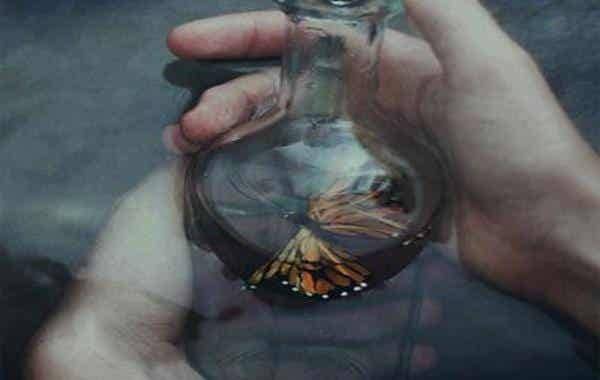mariposa dentro de una botella de cristal