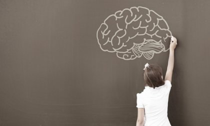 La neuropsicología del desarrollo infantil