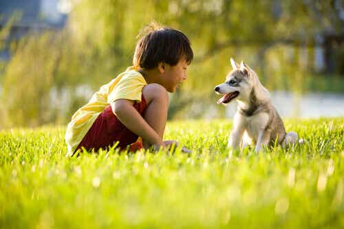 Niño asiático con un perro