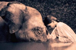 niña inclinada ante un elefante