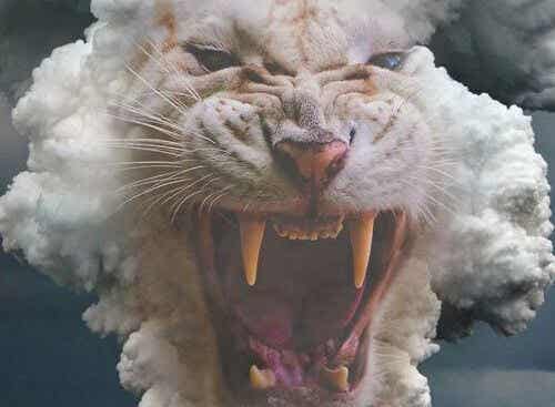 tigre blanco con la boca abierta representando la rabia del no puedo