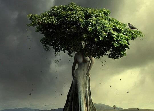 arbol en forma de mujer