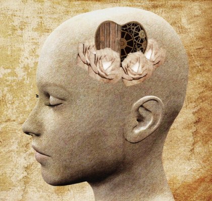 Empatía emocional y racional, ¿cómo se manifiestan en nuestros cerebros?