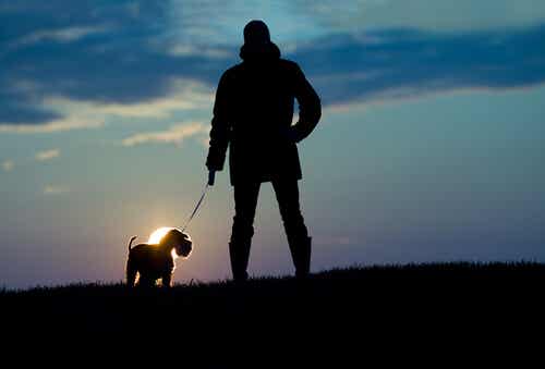 Hombre con su perro paseando al anochecer