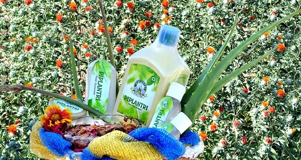 productos de piplantri