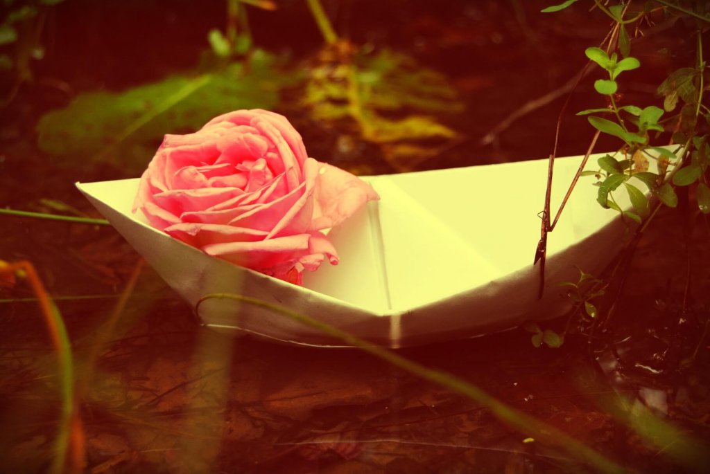 Barcos de papel