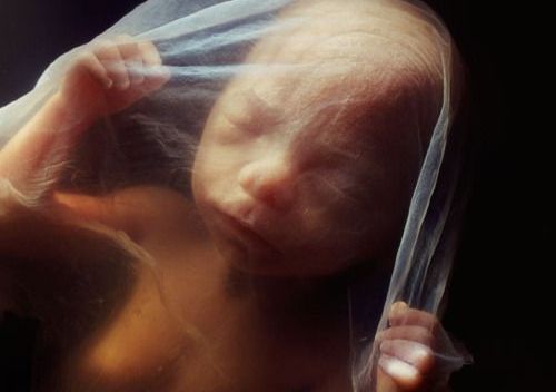 enfant dans le ventre avant la naissance