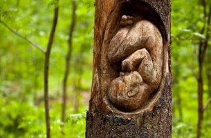 bebé esculpido en un arbol