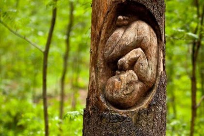 4 cosas que aprendemos antes de nacer