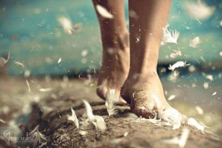 Caminante con plumas en los pies