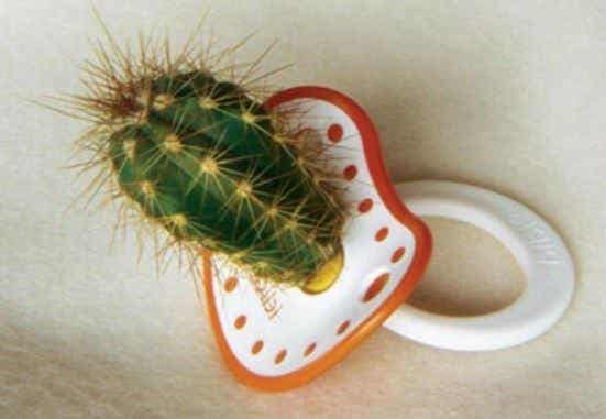 Chupete con forma de cactus