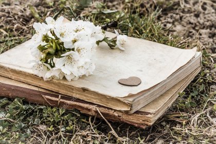 La poesía de la vida
