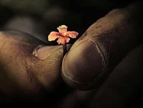 Dedos con flor