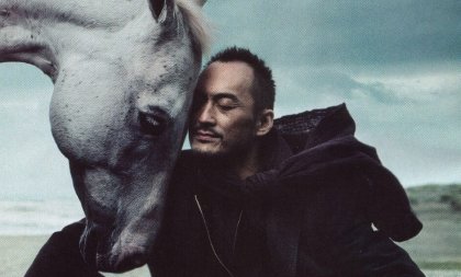 El jinete racional y el caballo emocional: el equilibrio humano