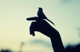 Mano con pajarito