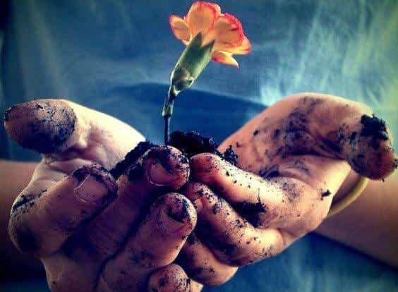manos sujetando una flor