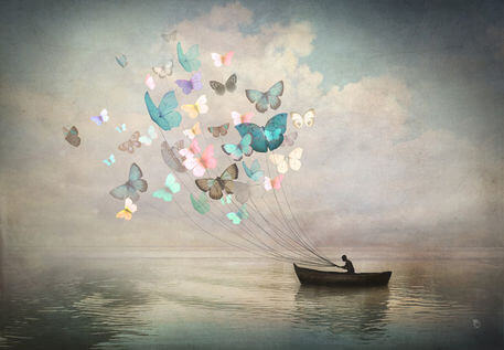 Mariposas guian el barco