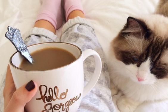 mujer tomando café con gato