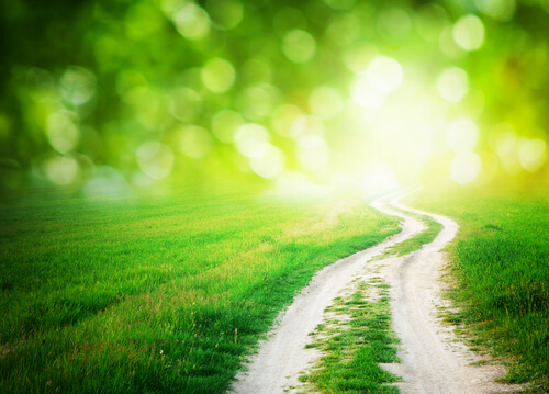 route dans le champ