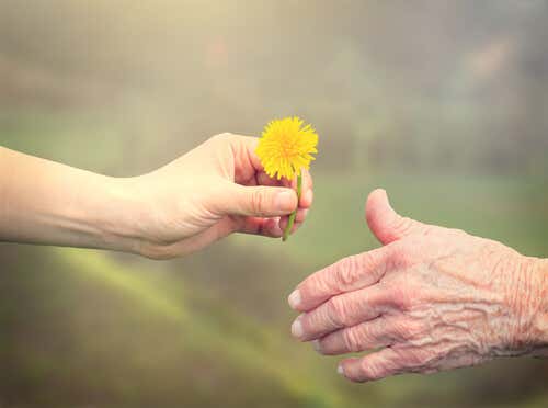Manos de una chica joven dando una flor a una persona mayor