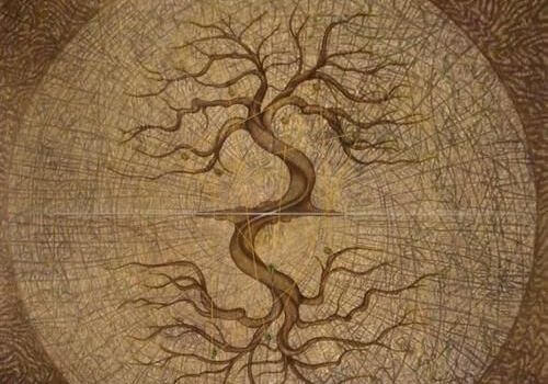 Árbol con raíces y ramas