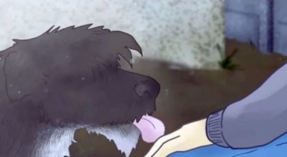 “Despedida”, un corto sobre el último adiós a nuestras mascotas