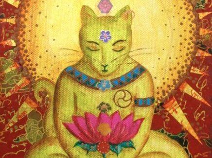gato buda
