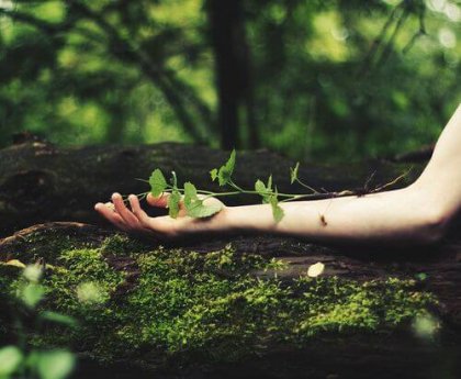 Cuando creo en mí despierto mis fortalezas y no dejo de crecer