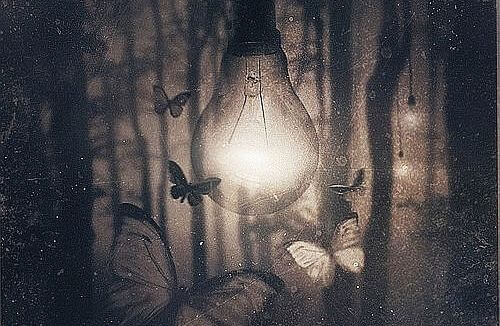 mariposas alrededor de perilla de luz representando a los que nos dejaron