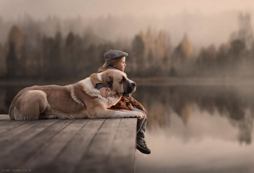 Niño disfrutando con su perro