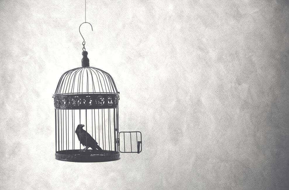 Pájaro en jaula representando las frases célebres de Alfonsina Storni