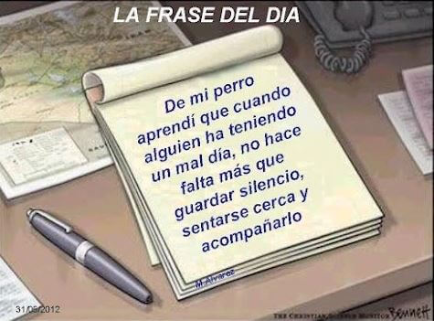 Texto sobre lo que aprendemos de nuestros perros