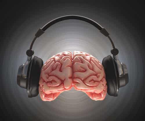 Cerebro con auriculares