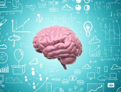 Gracias a nuestra Neuroplasticidad nunca dejamos de aprender