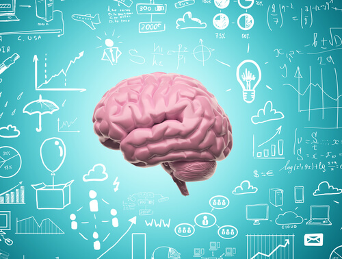 Gracias a nuestra Neuroplasticidad nunca dejamos de aprender