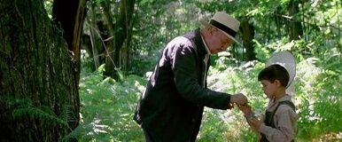 La lengua de las mariposas