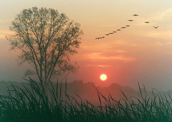 amanecer simbolizando frases de Wayne Dyer