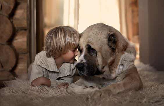 amor a un animal: perro con un niño