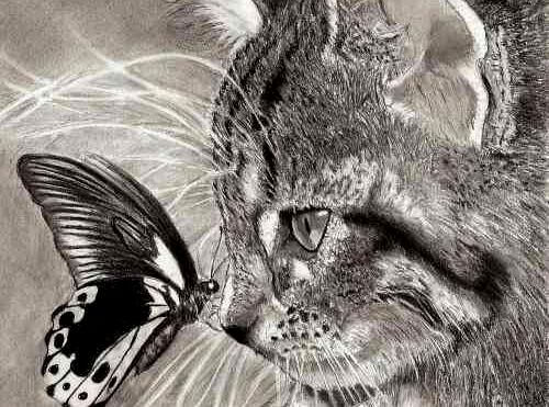 Amor a un animal: gato con mariposa