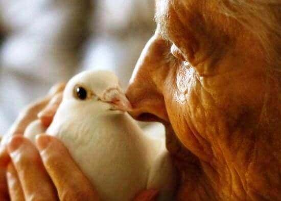 anciana con paloma simbolizando a los cuidadores