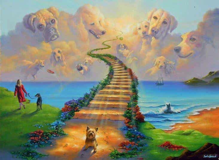 La leyenda del Puente del Arcoíris, el cielo de nuestras mascotas